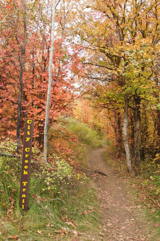 City Creek Trail Sign in Autumn Vertical _DSC1815.jpg