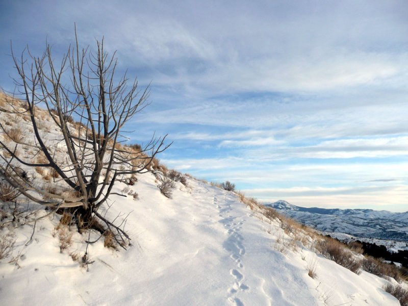 View from the Way up to Chinese Peak P1020169.jpg