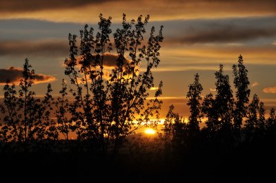 Pocatello Sunset _DSC7503.jpg