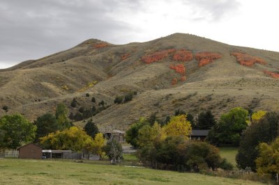 Chinese Peak Fall Foliage Pocatello Idaho _DSC1762.jpg