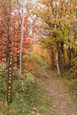 City Creek Trail Sign - Autumn Scene _DSC1808.jpg
