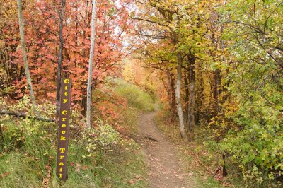 City Creek Trail Sign Autumn Scene _DSC1813.jpg