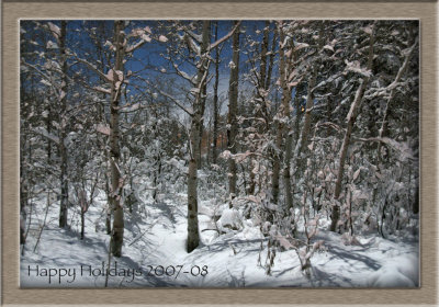 Pocatello Woods in Moonlight - Happy Holidays 2007 _DSC0456_2.jpg