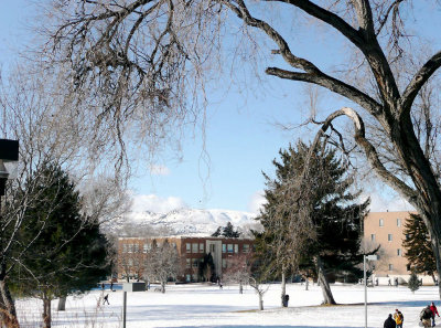 ISU Winter Scene at 6 degrees F P1020143.jpg