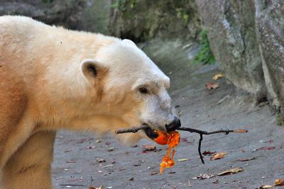 IMG_0619_20051112-2.jpg