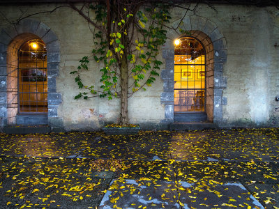 Courtyard in Autumn
