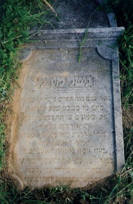A (?) modest and important woman (?)
Mrs. Gitel Mirel
Daughter of the old man Efraim Fischel KRISCHER zl
On the 15th day of Shevat, 691 (converts to Feb. 2, 1931)
80 years old when her soul departed and rose
Many tragedies befell her
Widow's clothes she wore twice
Her 1st husband's name was Yosef Nechemya ROSENBERG zl
Her 2nd husband's name was Yehoshua WEINBERGER zl
The sons and daughters that she gave birth to died upon (before) her
Whether in dire straights or in wide expanses (?), faith in Hashem was/is her (?) treasure (and the rest is illegible.)
