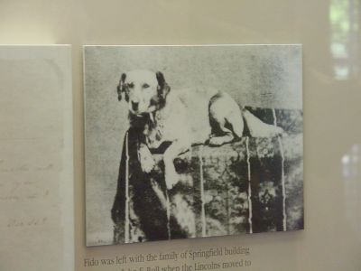 Fido, the Lincoln Family dog, was left behind and this photo would remind Tad and Willie of him.