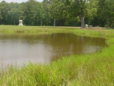Turning around from the mass grave, you can imagine the soldiers running across this small pond during the Confederate retreat.