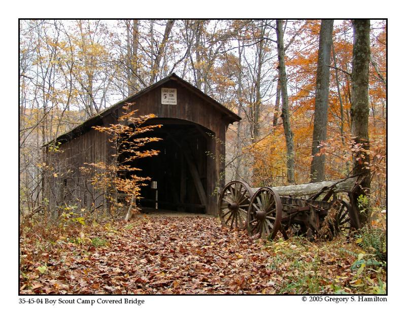 Boy Scout Camp