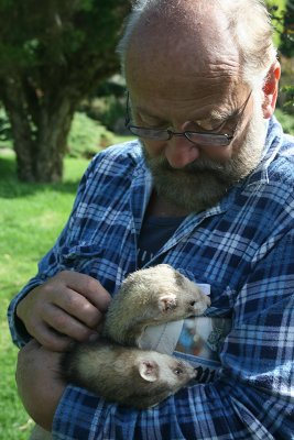Simon Houghton with ferrets, Hawley House