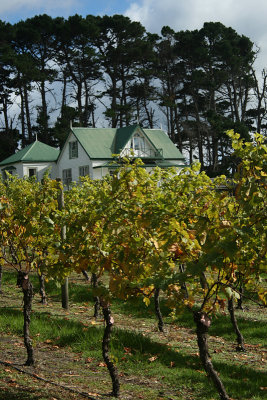 vineyards, back house, Hawley House