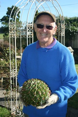bunya bunya pinecone, Latrobe