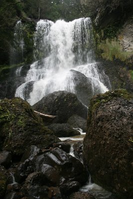 Champagne Falls, Lemonthyme Lodge grounds, Moina