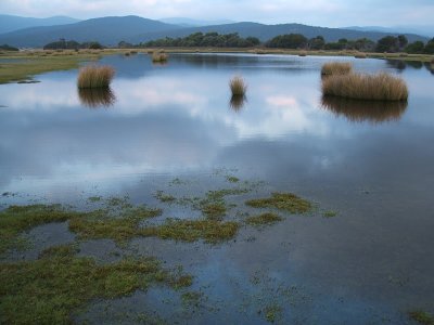Springlawn, Narwantapu National Park