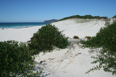 dunes, Friendly Beaches, Freycinet