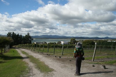 vineyards, Hawley Beach House