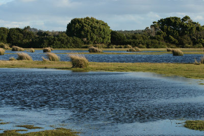 Springlawn, Narwantapu National Park