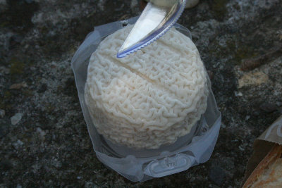 cheese, Ortinola, Cap Corse