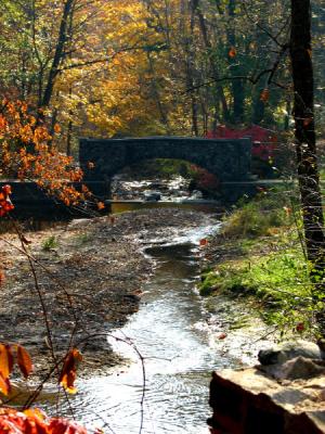 Looking Downstream