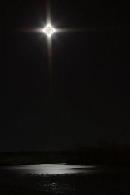 Christmas Eve Star
