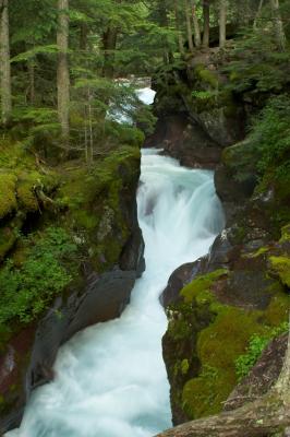 Avalanch, Creek, Glacier NP