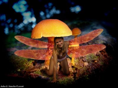 The Mushroom Faery