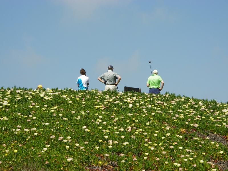 Golf in San Lorenzo, Quinta do Lago