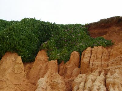 The cliffs of Vale do Lobo beach