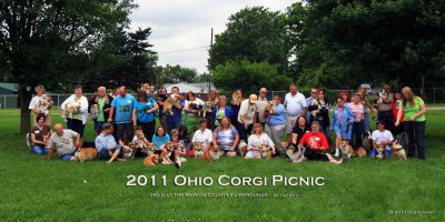Ohio Corgi Picnic 2011