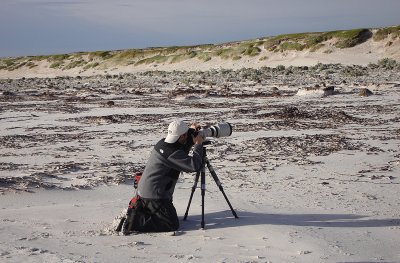 Another day at the office - East Falkland Island.