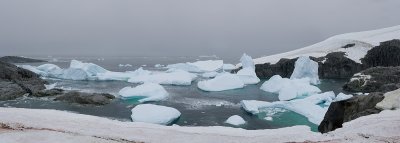 Multiple-Icebergs-in-Bay.jpg
