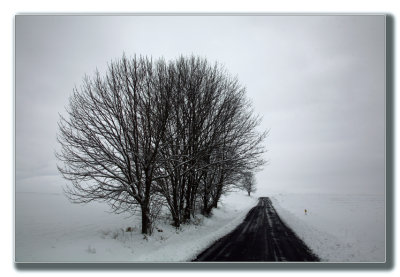 A foggy winters morn.