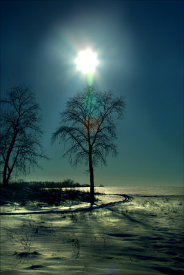 By the light.