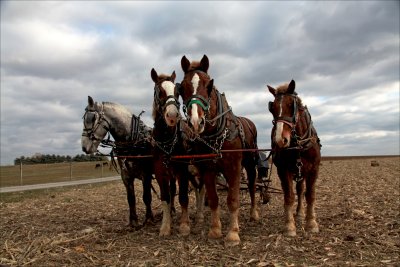 The winter team waits.