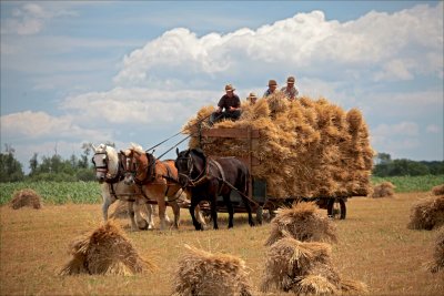 Bringing in the Sheaves.