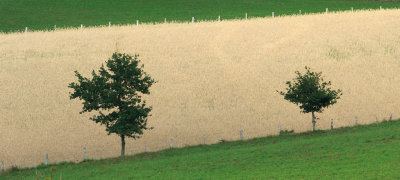 g4/99/57499/3/138457400.XohRJvR2.jpg