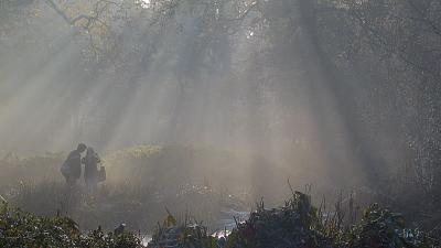 2005 - Isabella Plantation