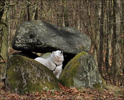 Blanca visiting ancestral grave from the stoneage