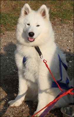 Freyia 5  month old