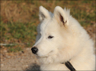 Freyia 5  month old