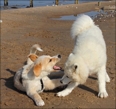 Freyia meeting Tumle