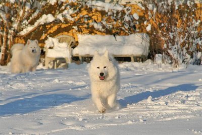 I'm coming