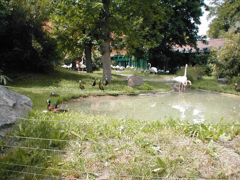 Vienna Zoo