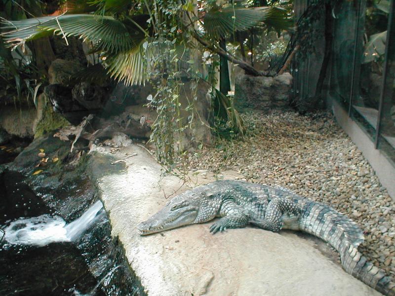 Vienna Zoo