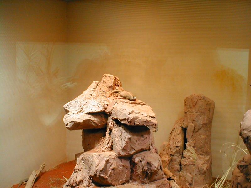 Vienna Zoo