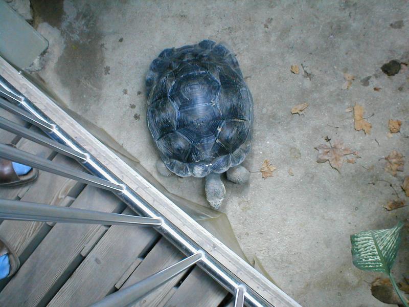Vienna Zoo