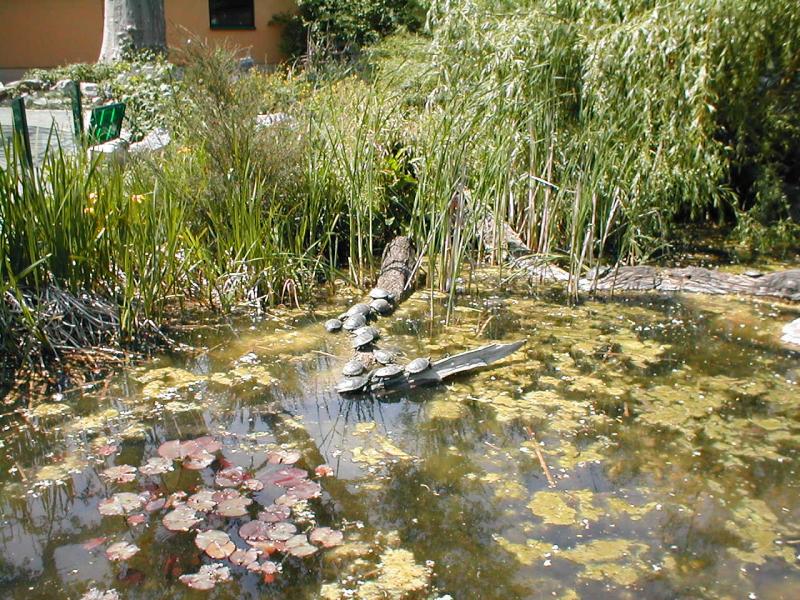 Vienna Zoo