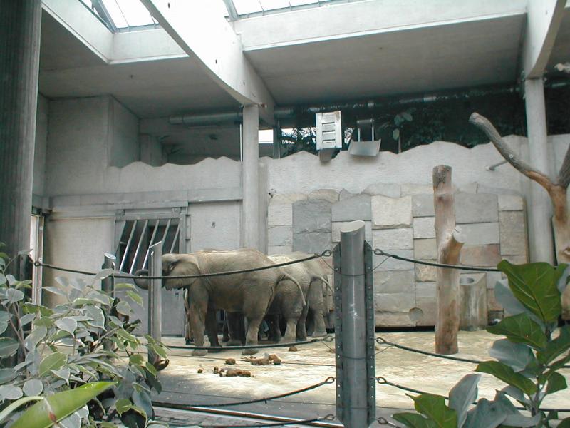 Vienna Zoo