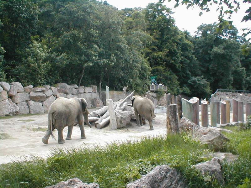 Vienna Zoo